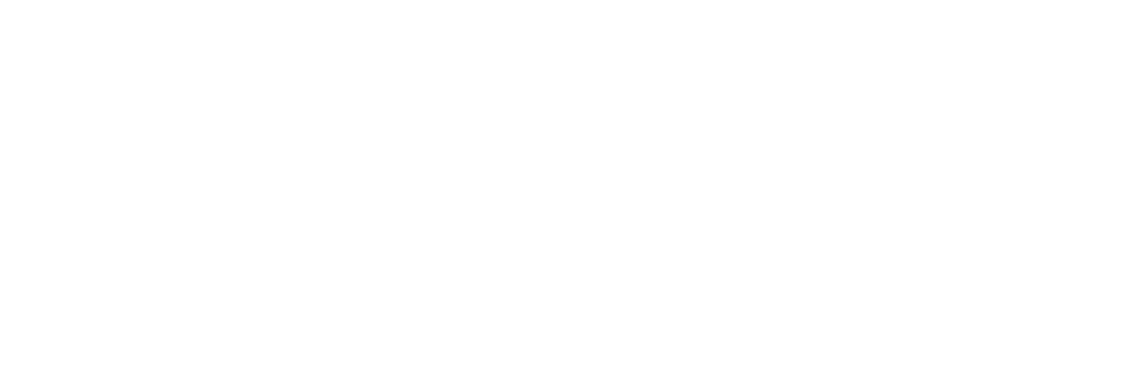 Casetify