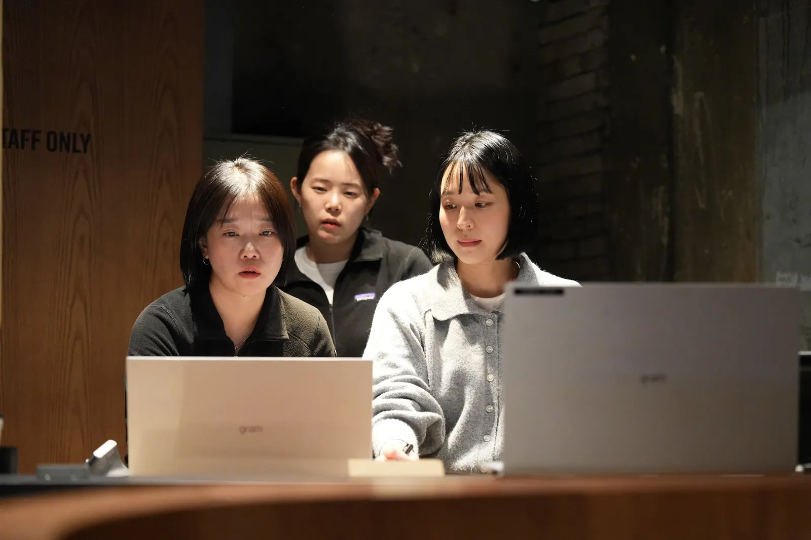 Two colleagues working side by side on laptops